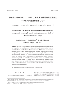 多波長リモートセンシングによる汽水域懸濁物質起源