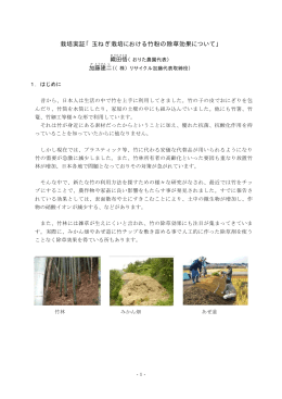 栽培実証「玉ねぎ栽培における竹粉の除草効果について」