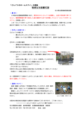 竹ポットの育て方（PDF：14.2KB）