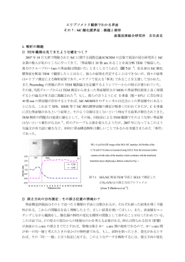 エリプソメトリ観察でわかる界面 その 7：SiC 酸化膜界面：課題と期待