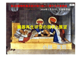 小林 英司 - 文部科学省