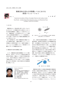 複雑流体の流れの多階層レベルにおける 数値シミュレーション