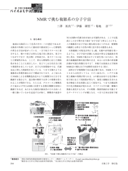NMRで挑む複雑系の分子宇宙