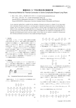 C12-2: 複雑形状パイプ内の熱対流の数値計算 桑名杏奈(お茶大),河村