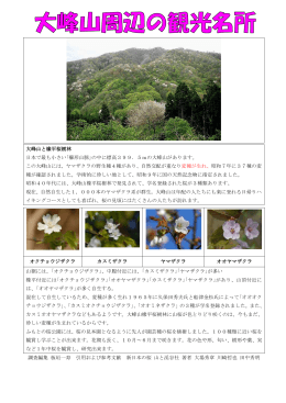 （とちだいら）桜樹林の天然記念物について（pdf）