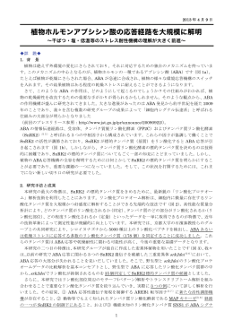 植物ホルモンアブシシン酸の応答経路を大規模に解明