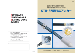 施工性に優れ維持管理が容易な 高耐久性引張型グラウンド
