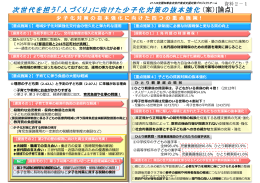 次世代を担う「人づくり」に向けた少子化対策の 次世代を担う「人づくり」に