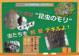 水 子 貝 塚 公 園