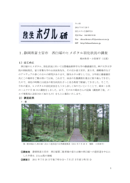 1.静岡県富士宮市 西臼塚のヒメボタル羽化状況の調査