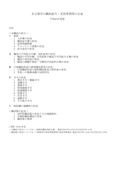 平成25年度 職員給与等の公表 (PDF形式, 307.62KB)