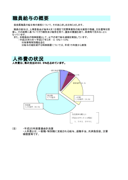 職員給与の概要 人件費の状況