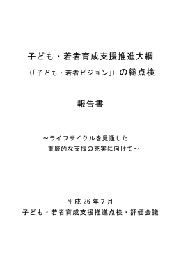 子ども・若者育成支援推進大綱（「子ども・若者ビジョン」）の総