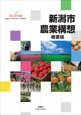 新潟市農業構想概要版（PDF：7725KB）