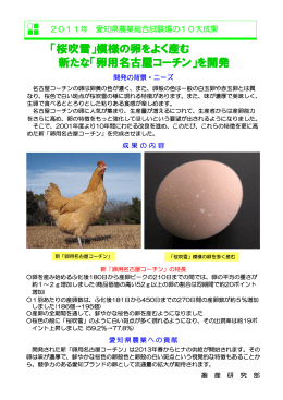 「桜吹雪」模様の卵をよく産む 新たな「卵用名古屋コーチン」を開発
