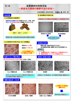 D-12 皮革素材の判別方法 ー表面毛穴模様の観察手法の改良ー