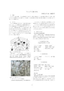 ランとラン菌の共生