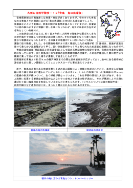 九州の自然学散歩－12｢青島 鬼の洗濯板｣