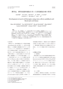 臍帯血，臍帯組織幹細胞を用いた新規細胞治療の開発