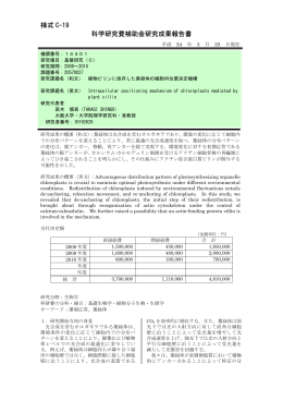様式 C-19 科学研究費補助金研究成果報告書