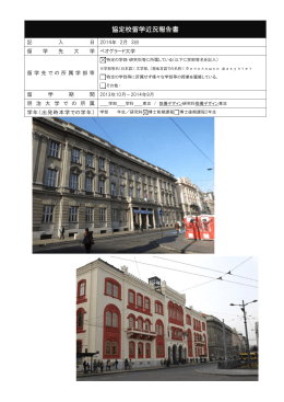 2013年度 留学近況報告書