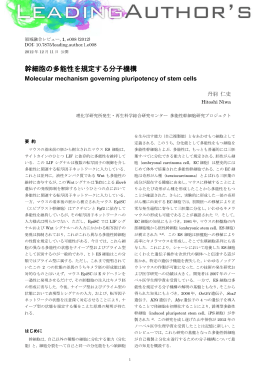 幹細胞の多能性を規定する分子機構 - ライフサイエンス 領域融合レビュー