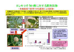 カンキツそうか病に対する薬剤防除