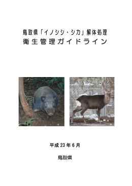 鳥取県「イノシシ・シカ」解体処理衛生管理ガイドライン（PDF、2.81MB