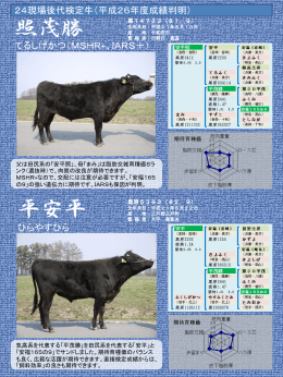 ⑧24現検