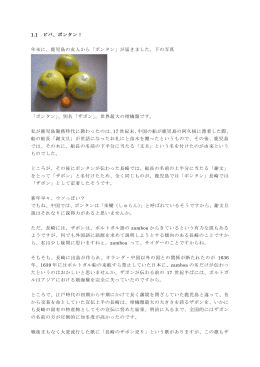 1.1 ビバ、ボンタン！ 年末に、鹿児島の友人から「ボンタン」が届きました