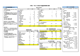 平成25年度省庁別連結財務書類の概要（PDF）