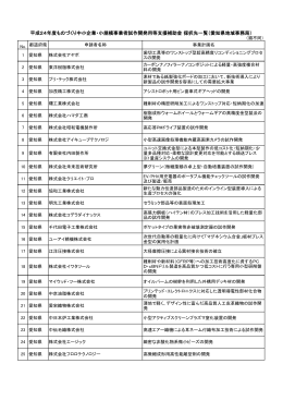 平成24年度ものづくり中小企業・小規模事業者試作開発用等支援補助金