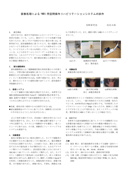 画像処理による fMRI 用空間操作リハビリテーションシステムの試作