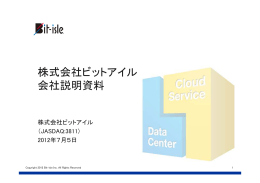 株式会社ビットアイル 会社説明資料