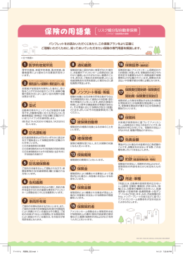パンフレットをお読みいただくにあたり、この保険プランをより正確に ご