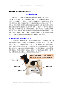 犬と猫のリンパ腫（多中心型）