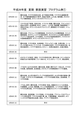 平成26年度夏プログラム①