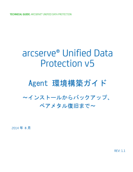 Agent 環境構築ガイド