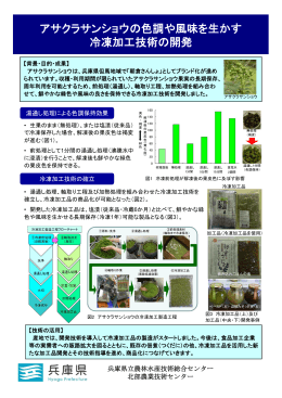 アサクラサンショウの色調や風味を生かす 冷凍加工技術の開発