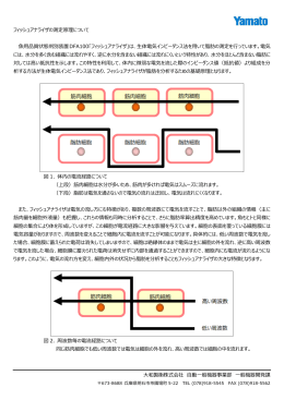 測定原理：［PDFファイル／278KB］