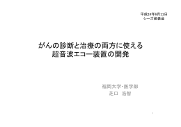 がんの診断と治療の両方に使える 超音波エコー装置の開発