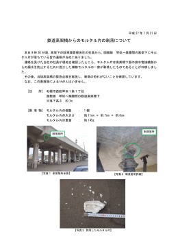 鉄道高架橋からのモルタル片の剥落について【PDF/403KB】
