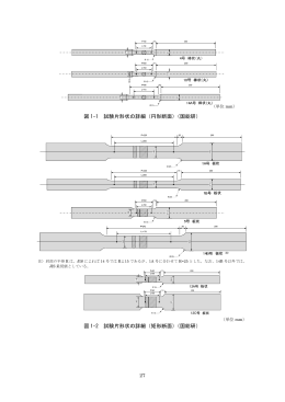 図 1-1 試験片形状の詳細（円形断面）（国総研） 図 1