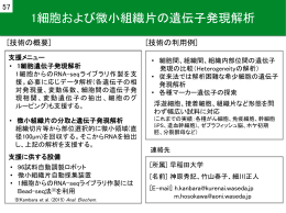 1細胞および微小組織片の遺伝子発現解析