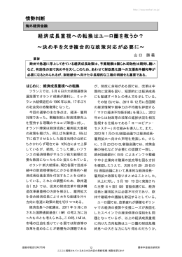 経済成長重視への転換はユーロ圏を救うか？