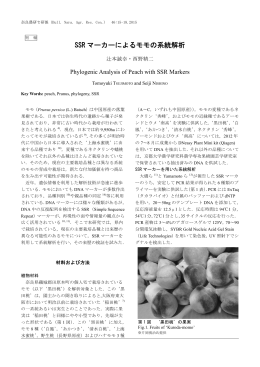 SSR マーカーによるモモの系統解析