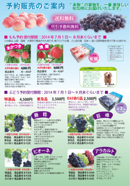 予約販売のご案内 予約販売のご案内
