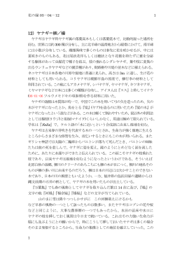 12）ヤナギ＝柳／楊