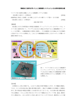 微細加工技術を用いた人工細胞膜システムによる自律的診断治療
