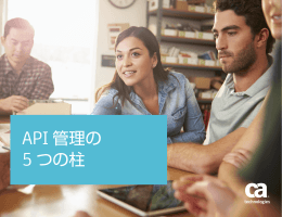 API 管理の 5 つの柱 - CA Technologies